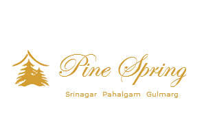 pine-spring-logo